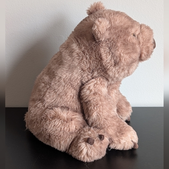 Jellycat | Wonda Wombat Plush Toy - Picture 2 of 15